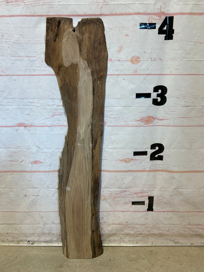 Live Edge Walnut Sku#26983M-5