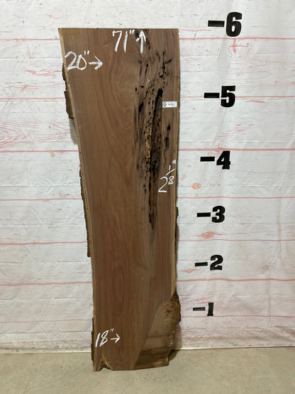 Live Edge Walnut Sku#27186A-19