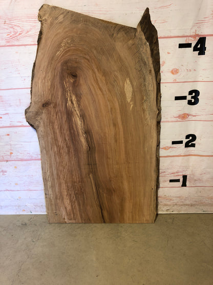 Live Edge Sycamore Sku# 22578M-23