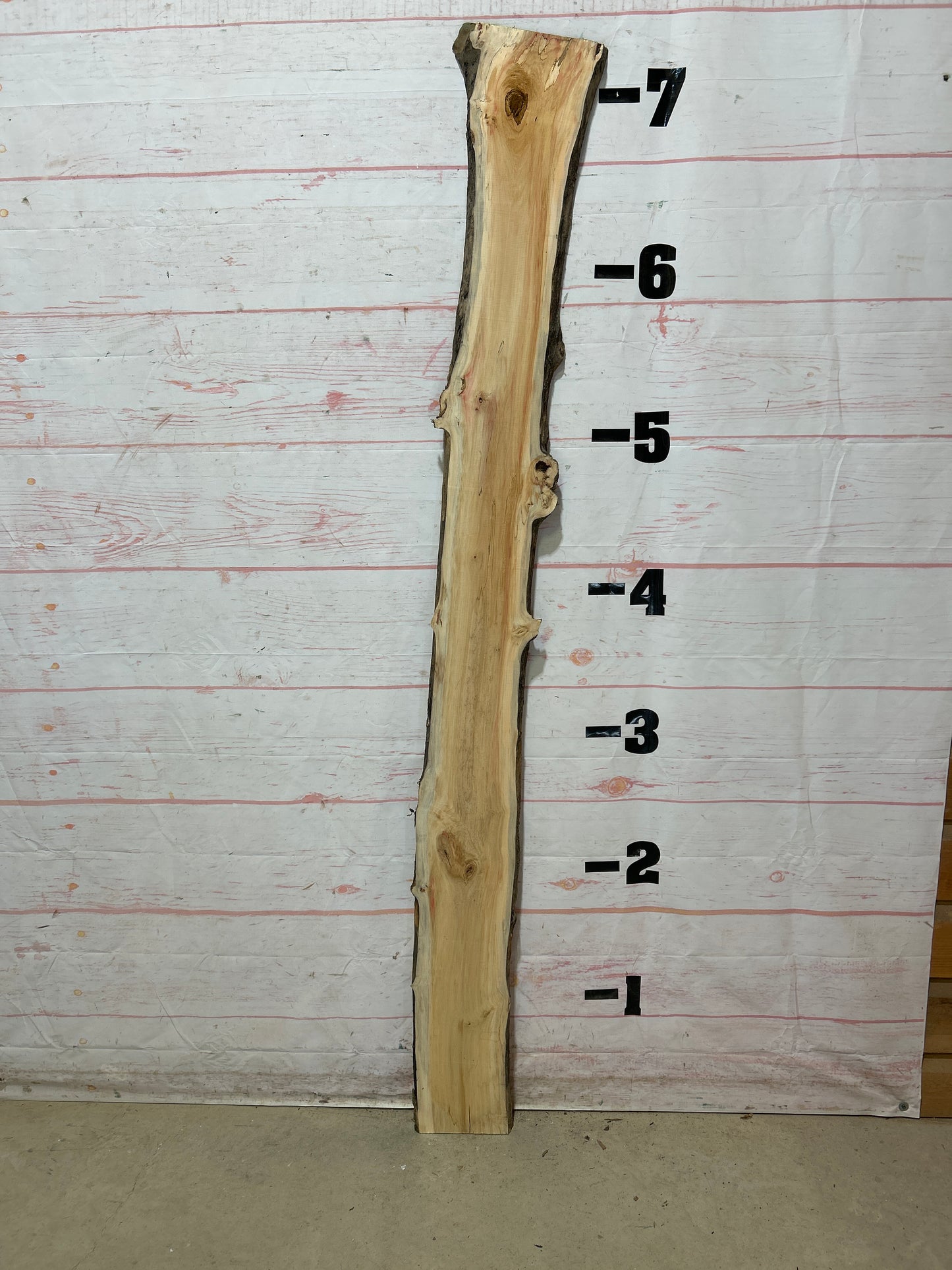 Live Edge Box Elder Sku#25731D-8
