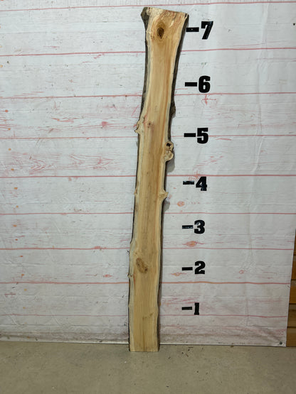 Live Edge Box Elder Sku#25731D-8