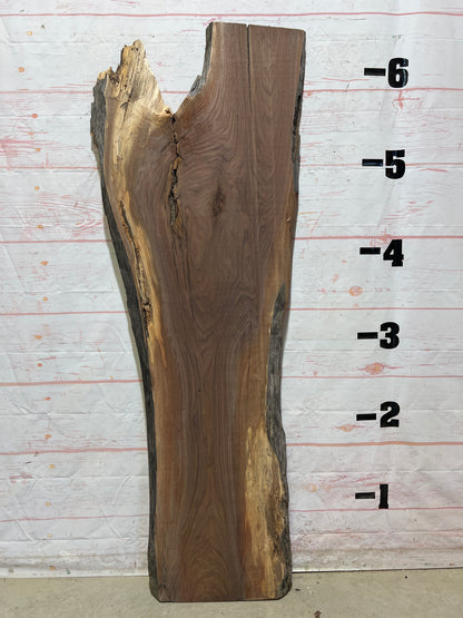 Live Edge Walnut Sku# 26008A-23
