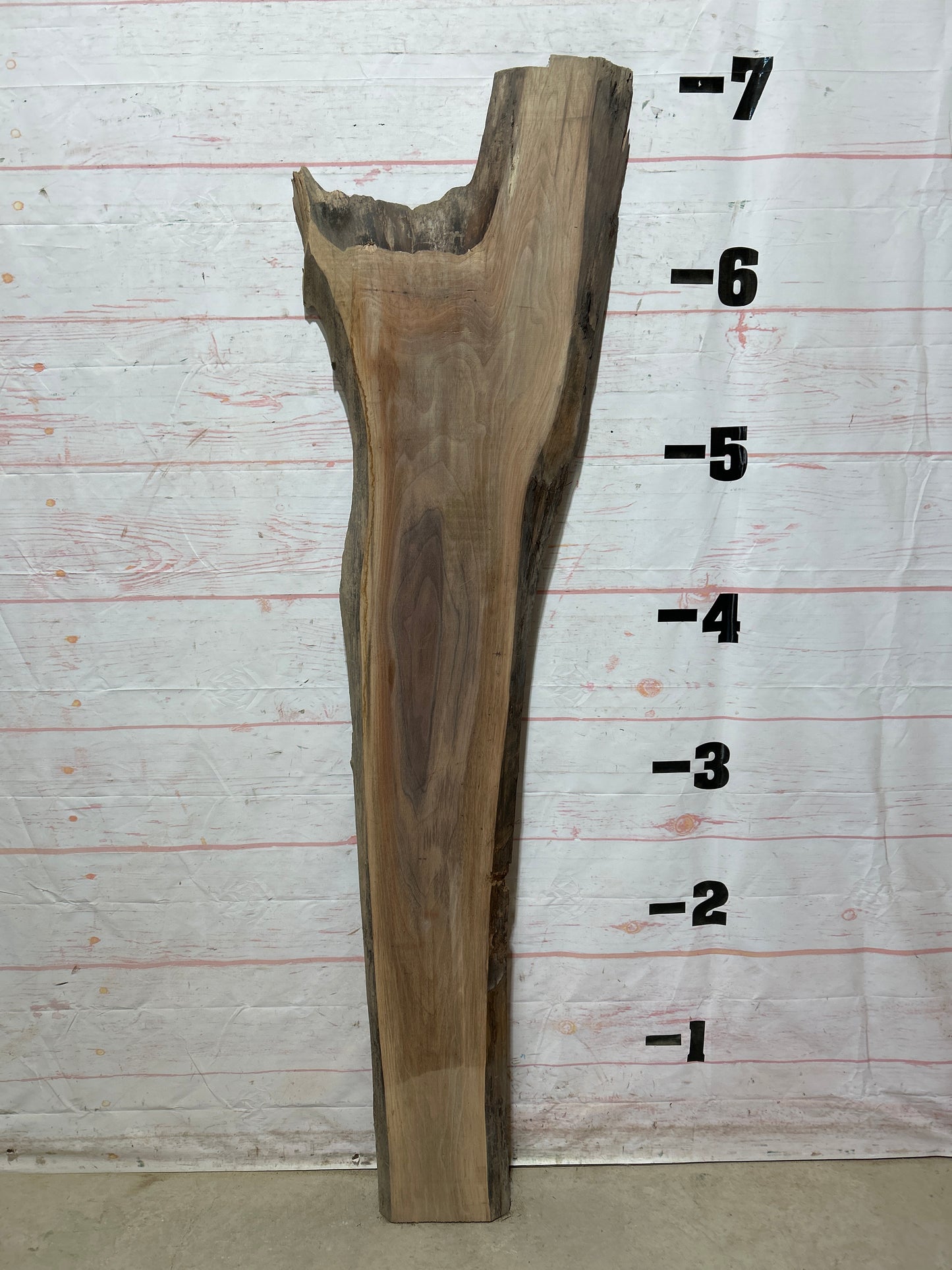 Live Edge Walnut Sku#26829M-14