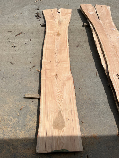 Live Edge Honey Locust - Sku# 20259-72