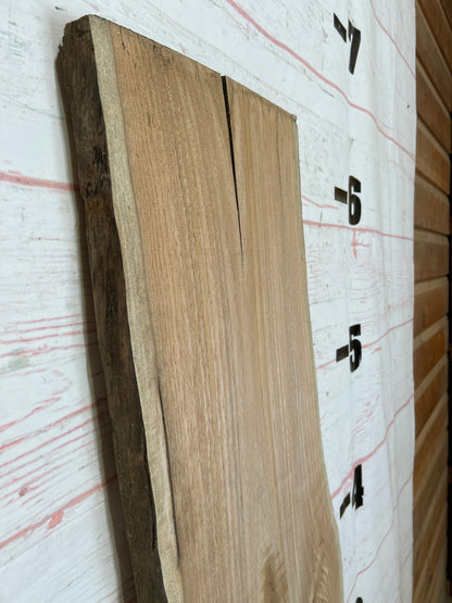 Live Edge Butternut Sku#25931C-13
