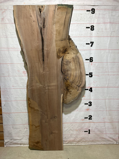 Live Edge Walnut Sku#26886-67