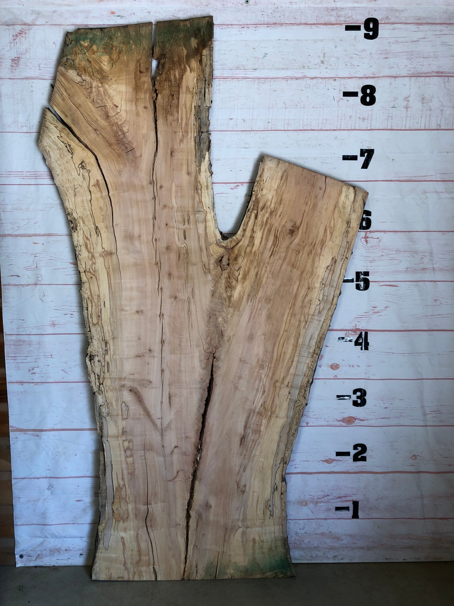 Live Edge Spalted Maple Sku#23550S-66