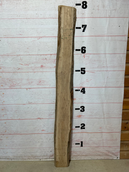 Live Edge Elm Sku#25485H-8