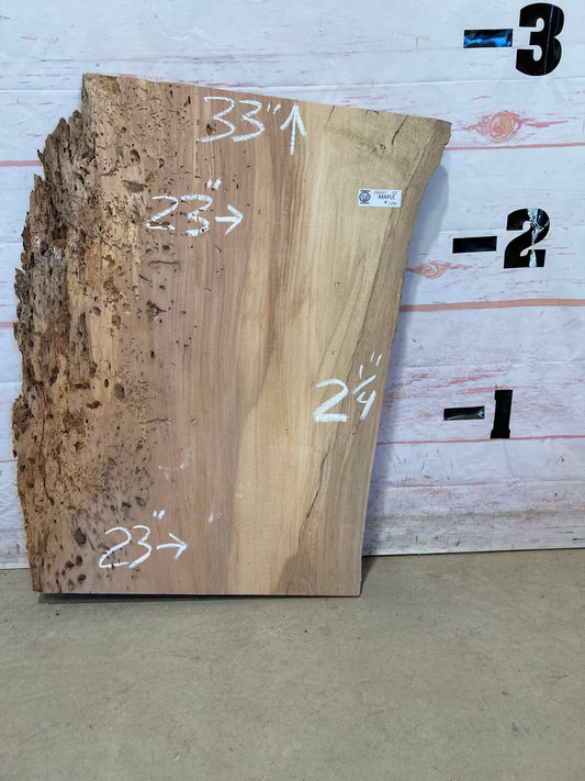 Live Edge Maple Sku#26021M-12