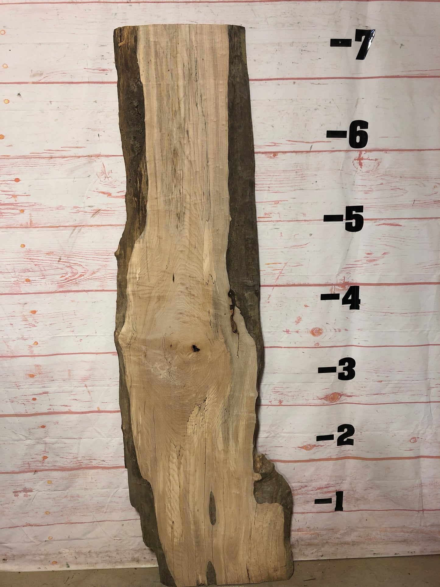 Live Edge Spalted MapleSk# 22364-20