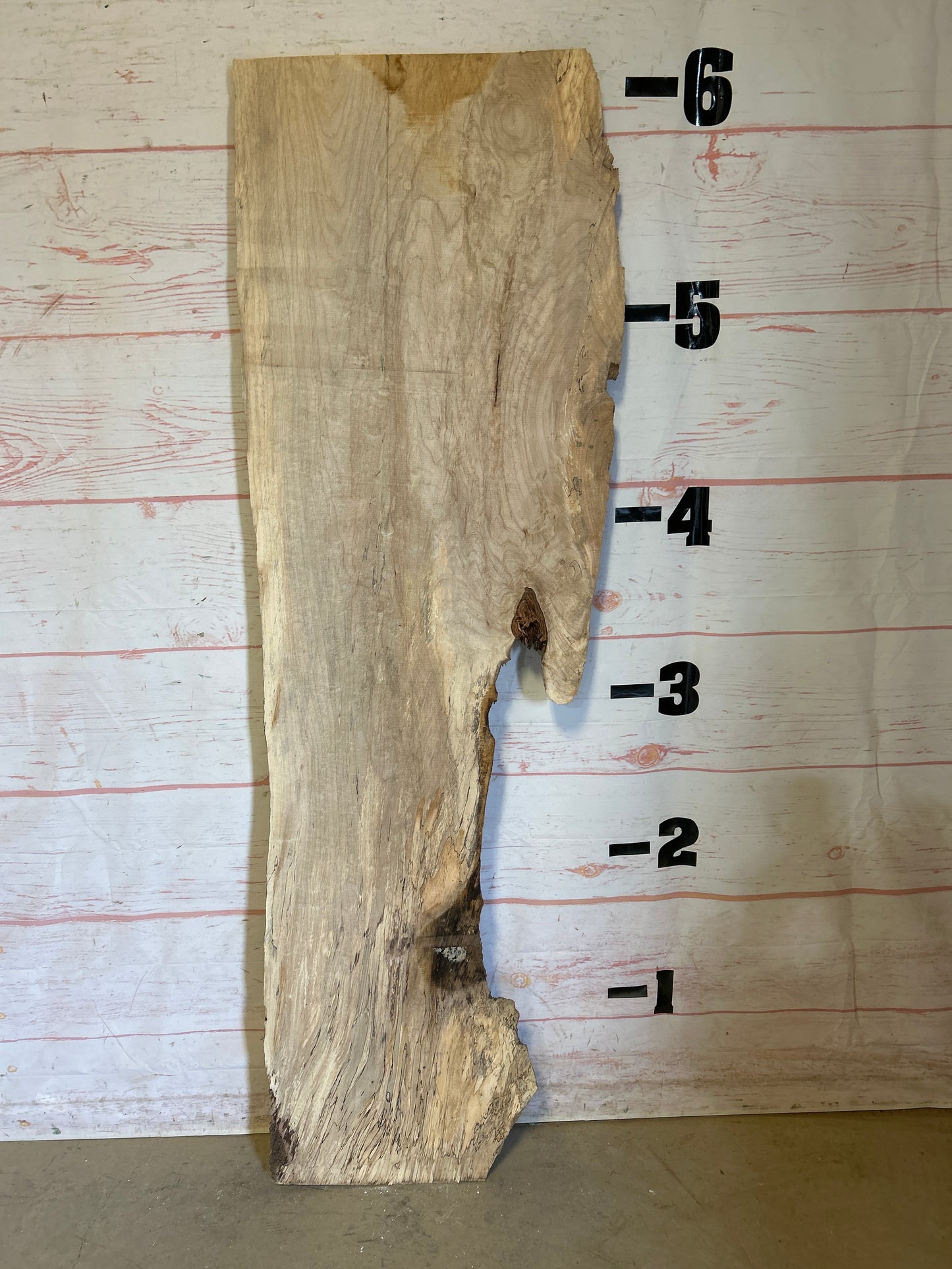 Live Edge Spalted Maple Sku#24661E-16