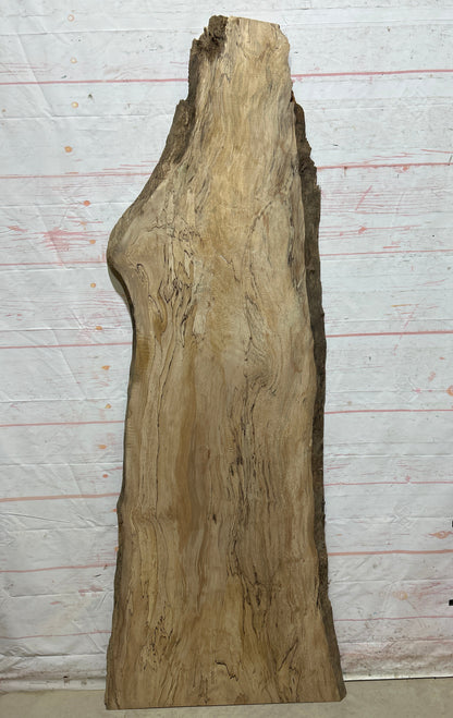 Live Edge Maple Sku#26701E-21