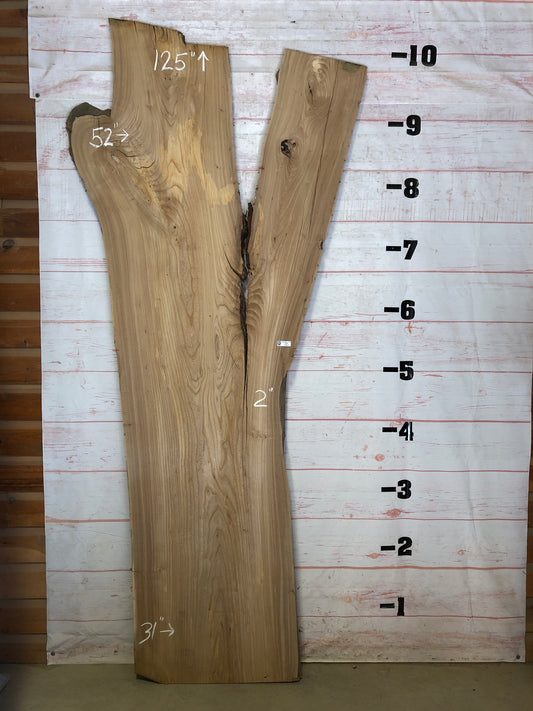 Live Edge Elm Sku#22639-73