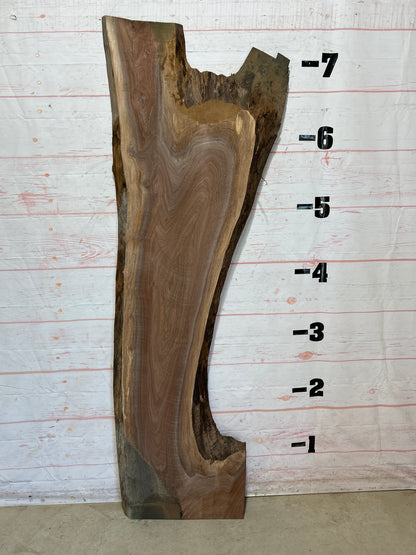 Live Edge Walnut Sku#25874-35