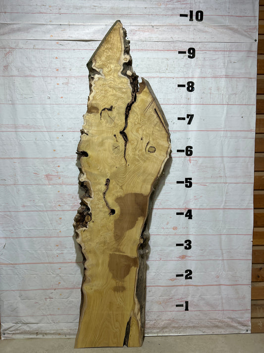 Live Edge Mulberry Sku#26936-43