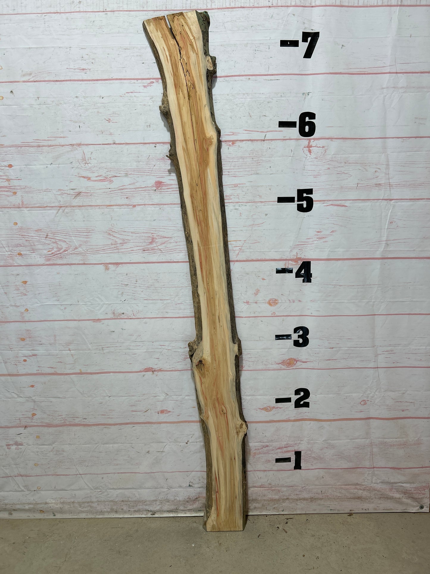 Live Edge Box Elder Sku#25732D-8
