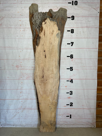 Live Edge Maple Sku#26339-63