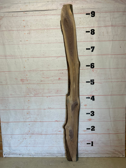 Live Edge Walnut Sku#25916M-12