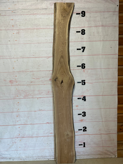 Live Edge Butternut Sku#25947-18