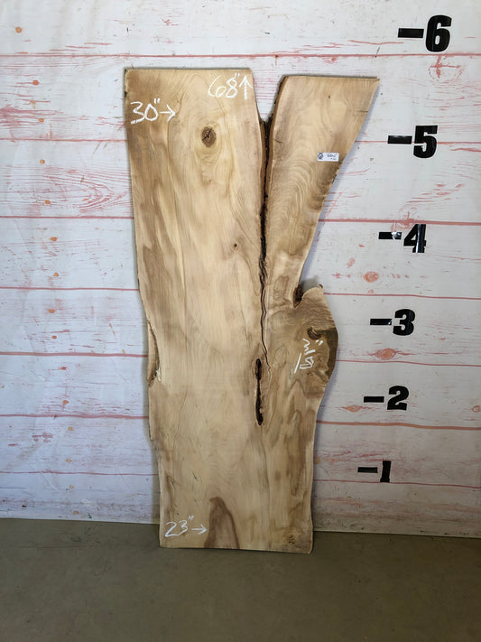 Live Edge Maple Sku#23140E-19