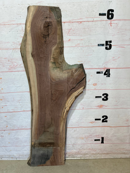 Live Edge Walnut Sku#25884A-22