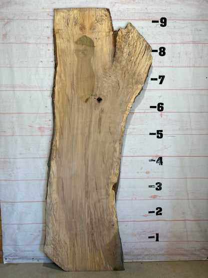 Live Edge Maple Sku#26265-57