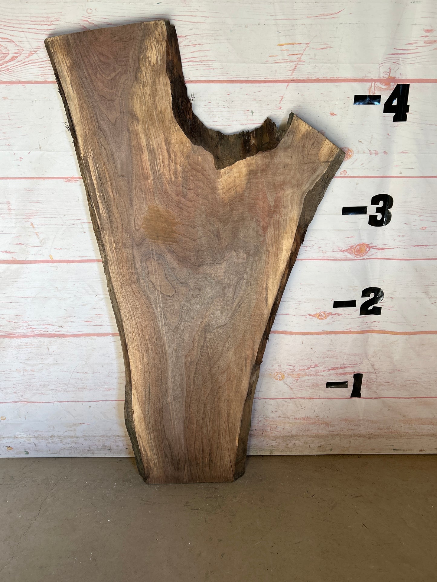 Live Edge Walnut Sku#24645A-11