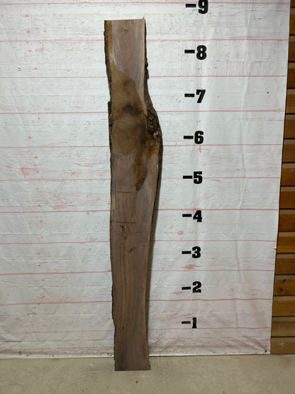Live Edge Walnut Sku#27151C-19