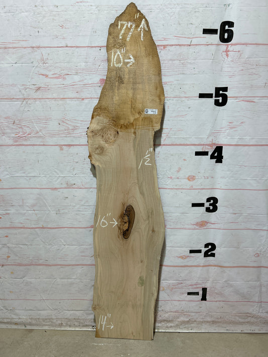 Live Edge Maple Sku#26706E-10