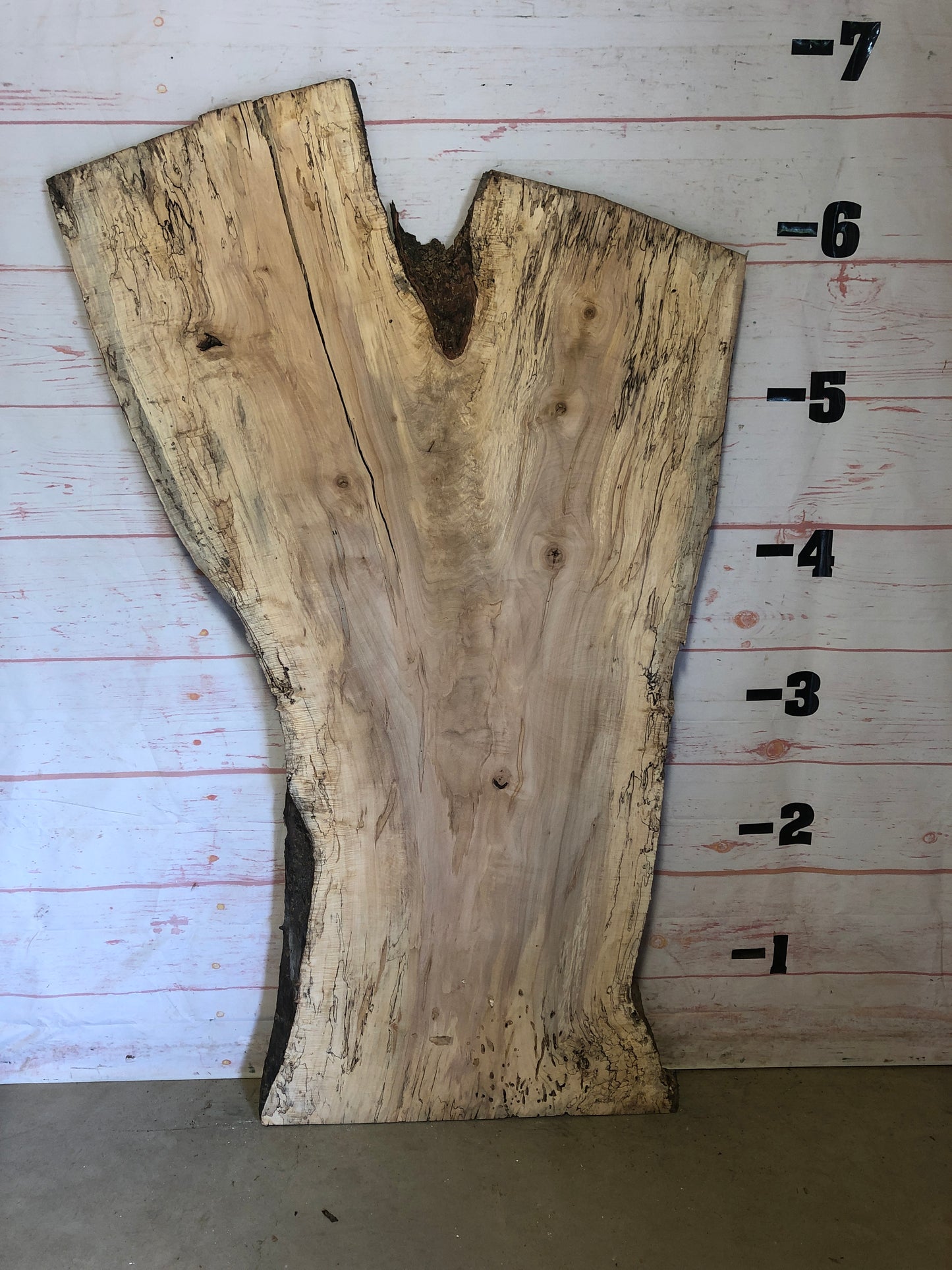 Live Edge Spalted Maple Sku#23214S-46