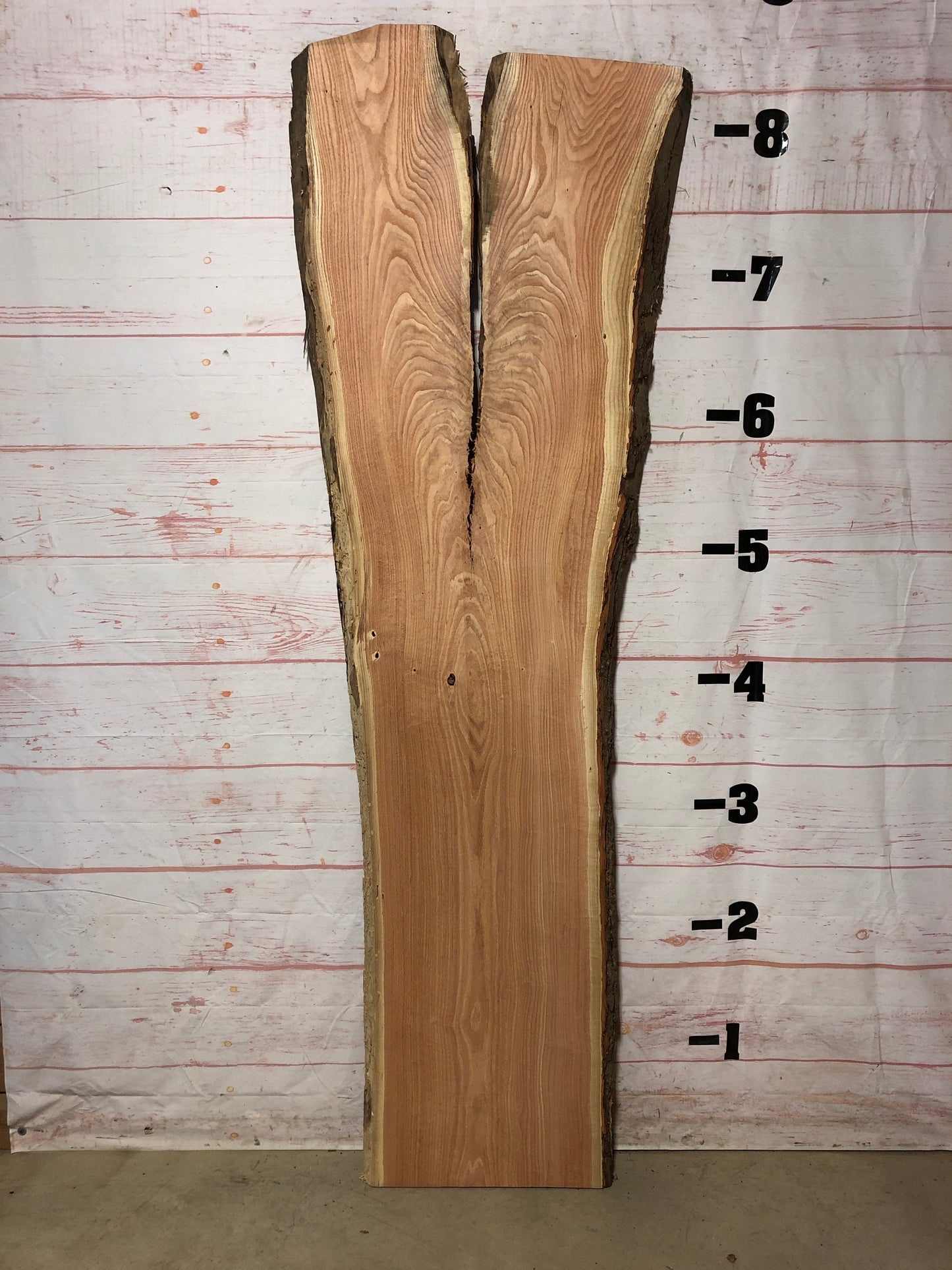 Live Edge Honey Locust Sku# 22600-43