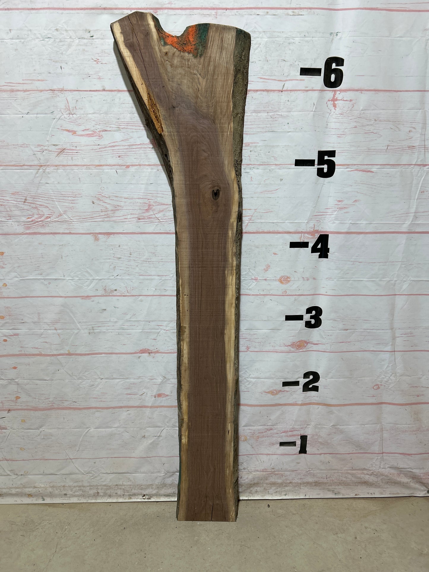 Live Edge Walnut Sku#27078G-15