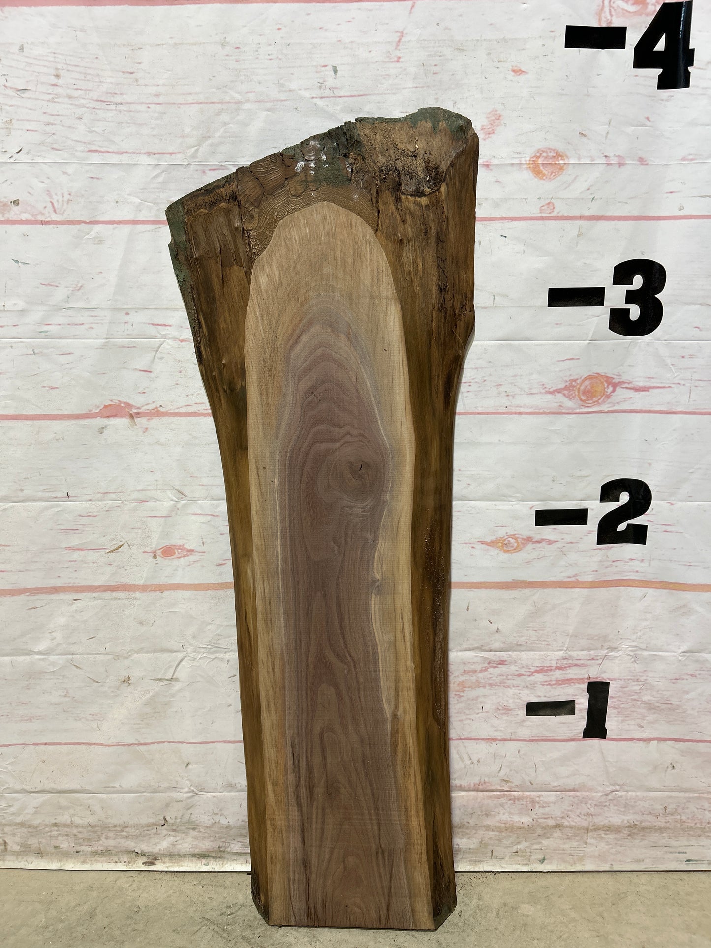 Live Edge Walnut Sku#26223A-9