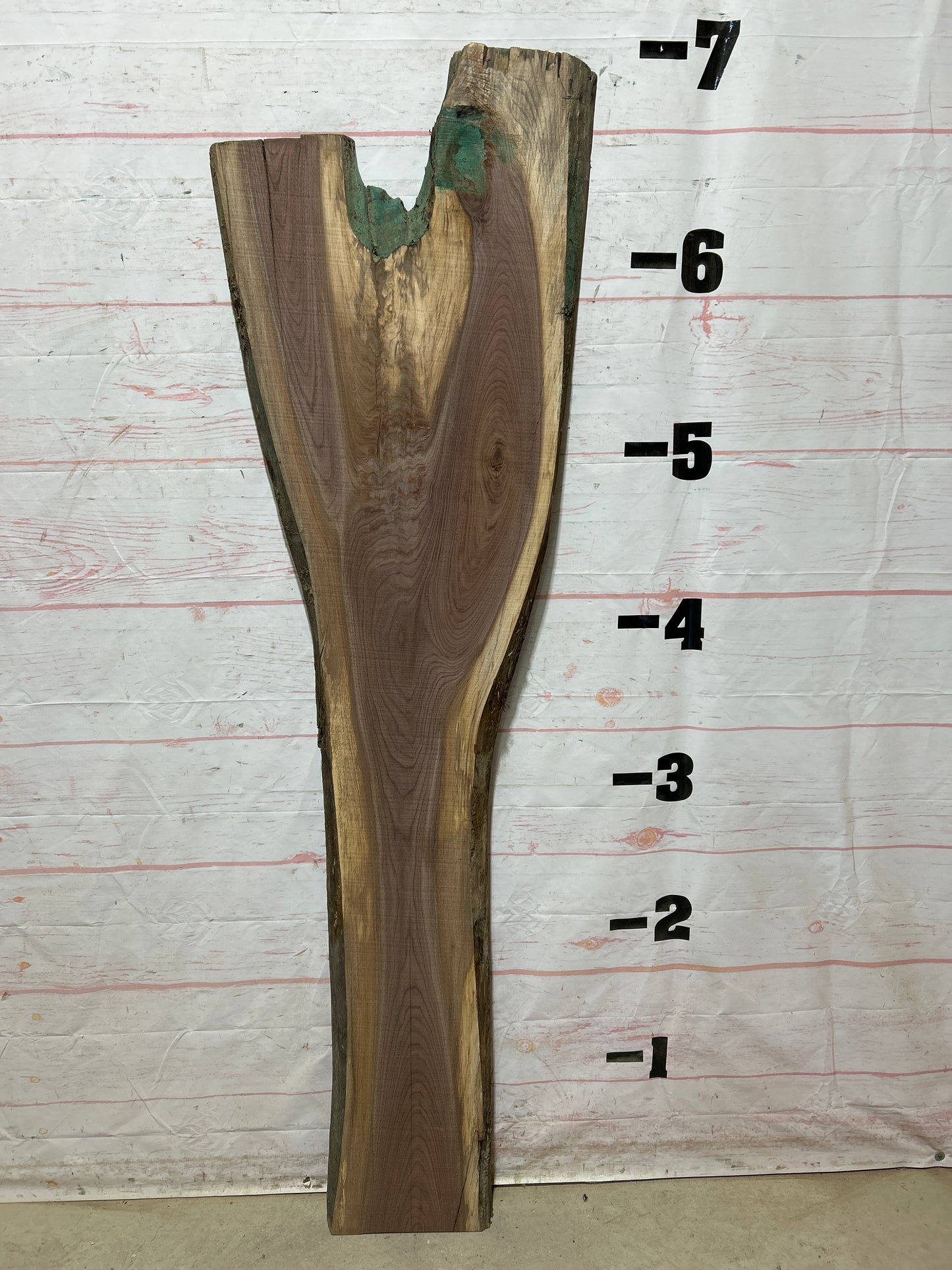 Live Edge Walnut Sku#27079G-21