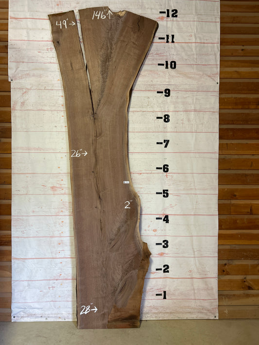 Live Edge Walnut Sku#24911-77