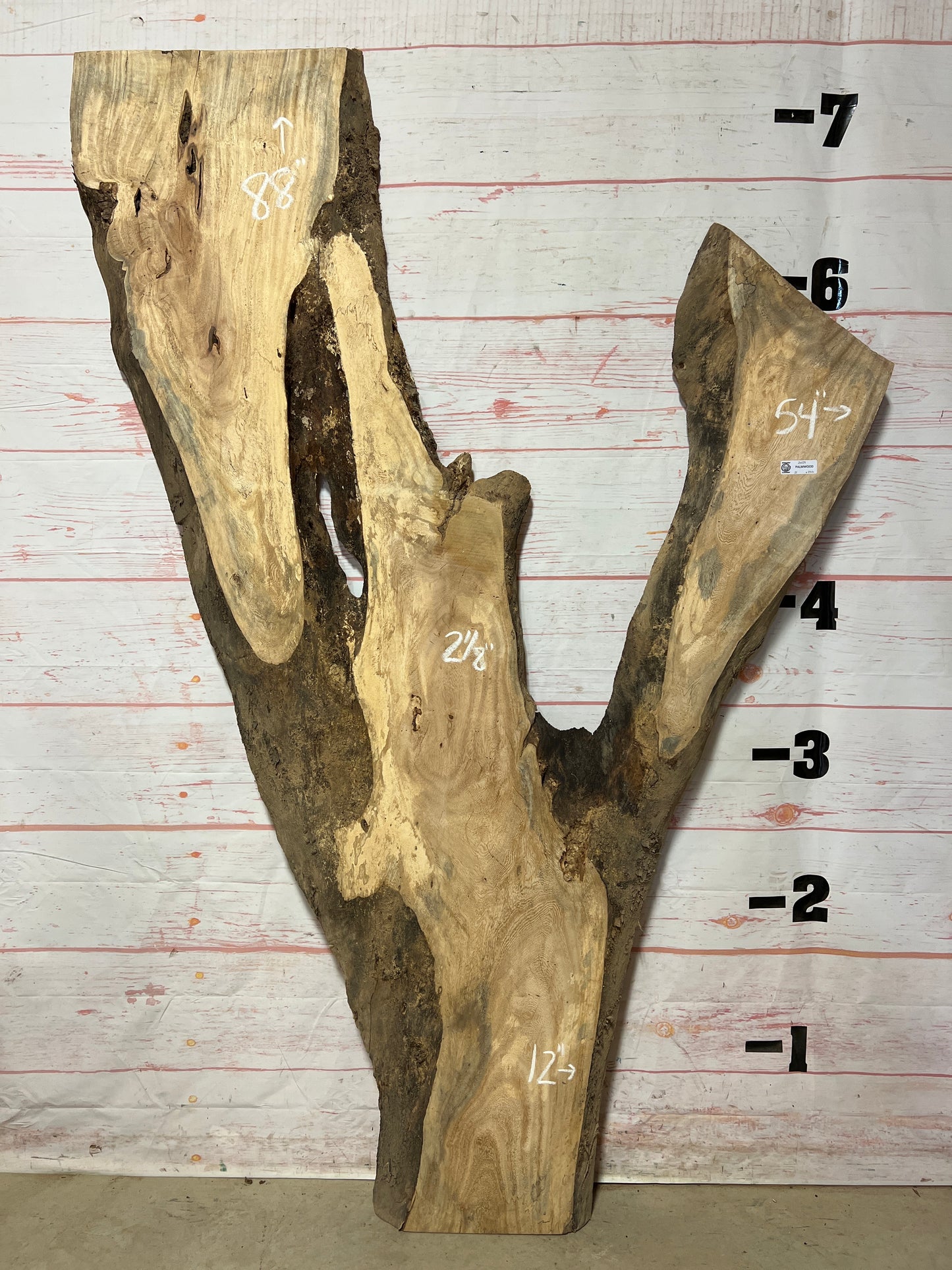 Live Edge Palm Sku# 21029-21