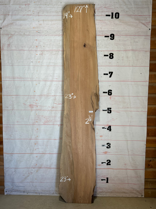 Live Edge Sycamore Sku#26537-46