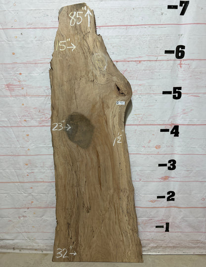 Live Edge Maple Sku#26701E-21