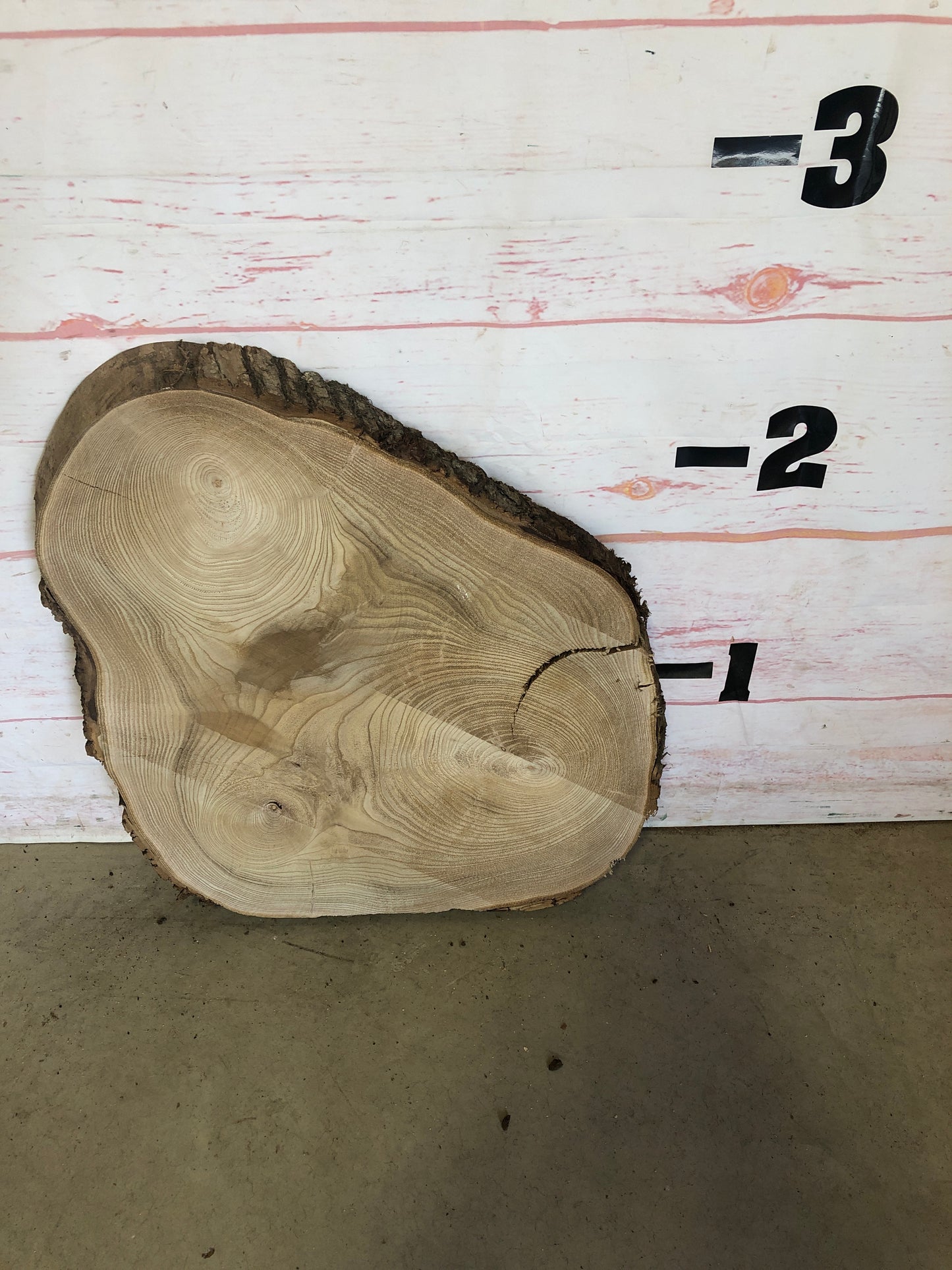 Live Edge Catalpa Cookie Sku#23527M