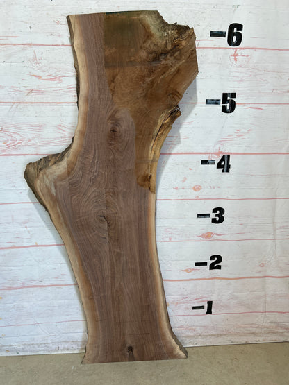 Live Edge Walnut Sku#25887A-25