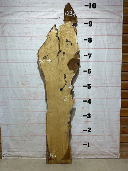 Live Edge Mulberry Sku#26937-44