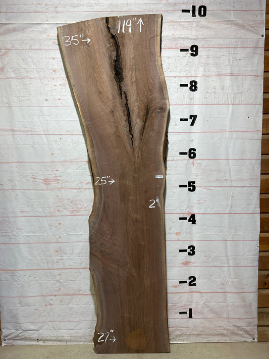 Live Edge Walnut Sku#26507K-50