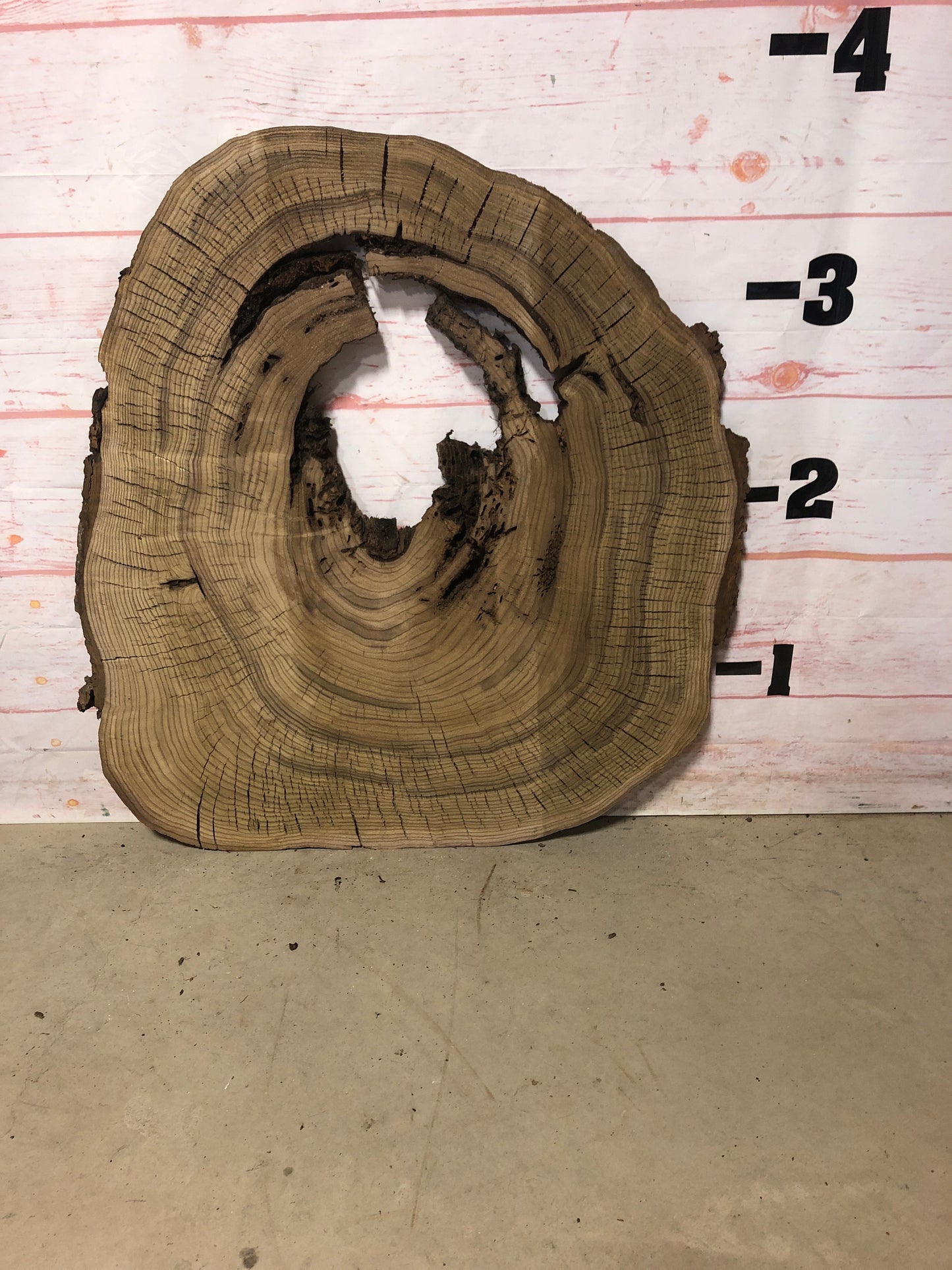 Live Edge Catalpa Cookie Sku# 22021M