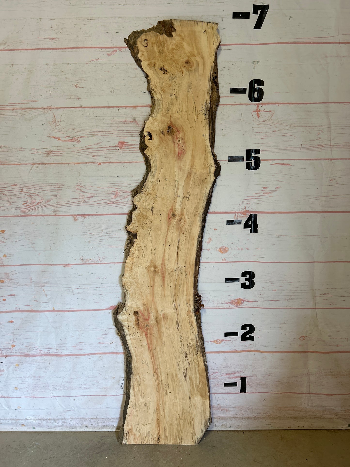 Live Edge Box Elder Sku#25228D-12