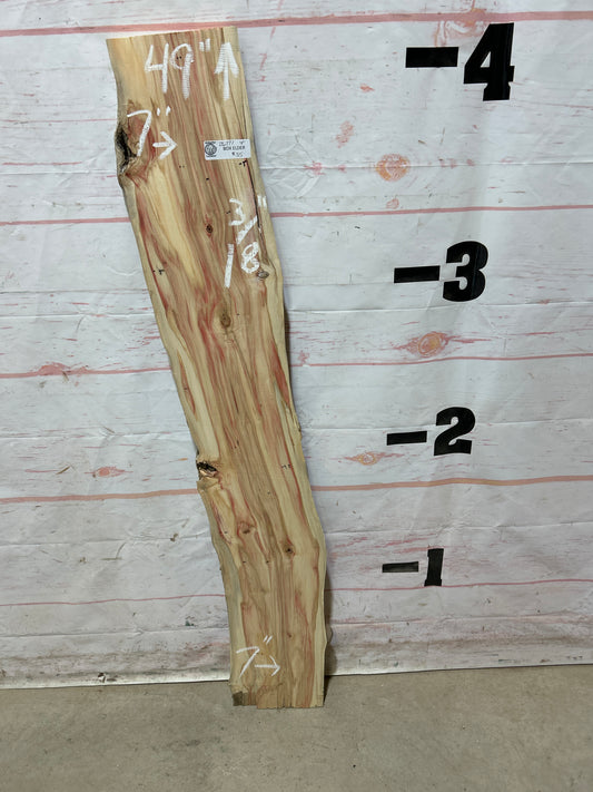 Live Edge Box Elder Sku#26771M-4