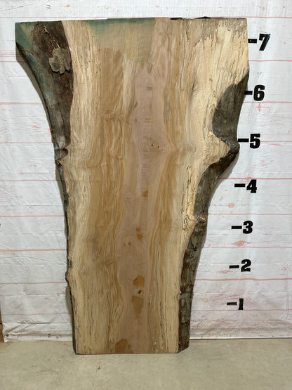 Live Edge Sycamore Sku#26903-69