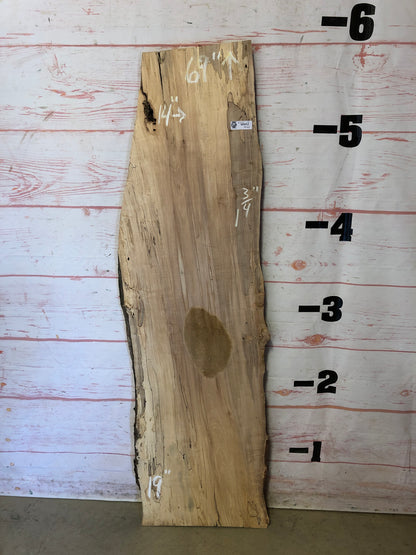 Live Edge Spalted Maple Sku#22672E-14