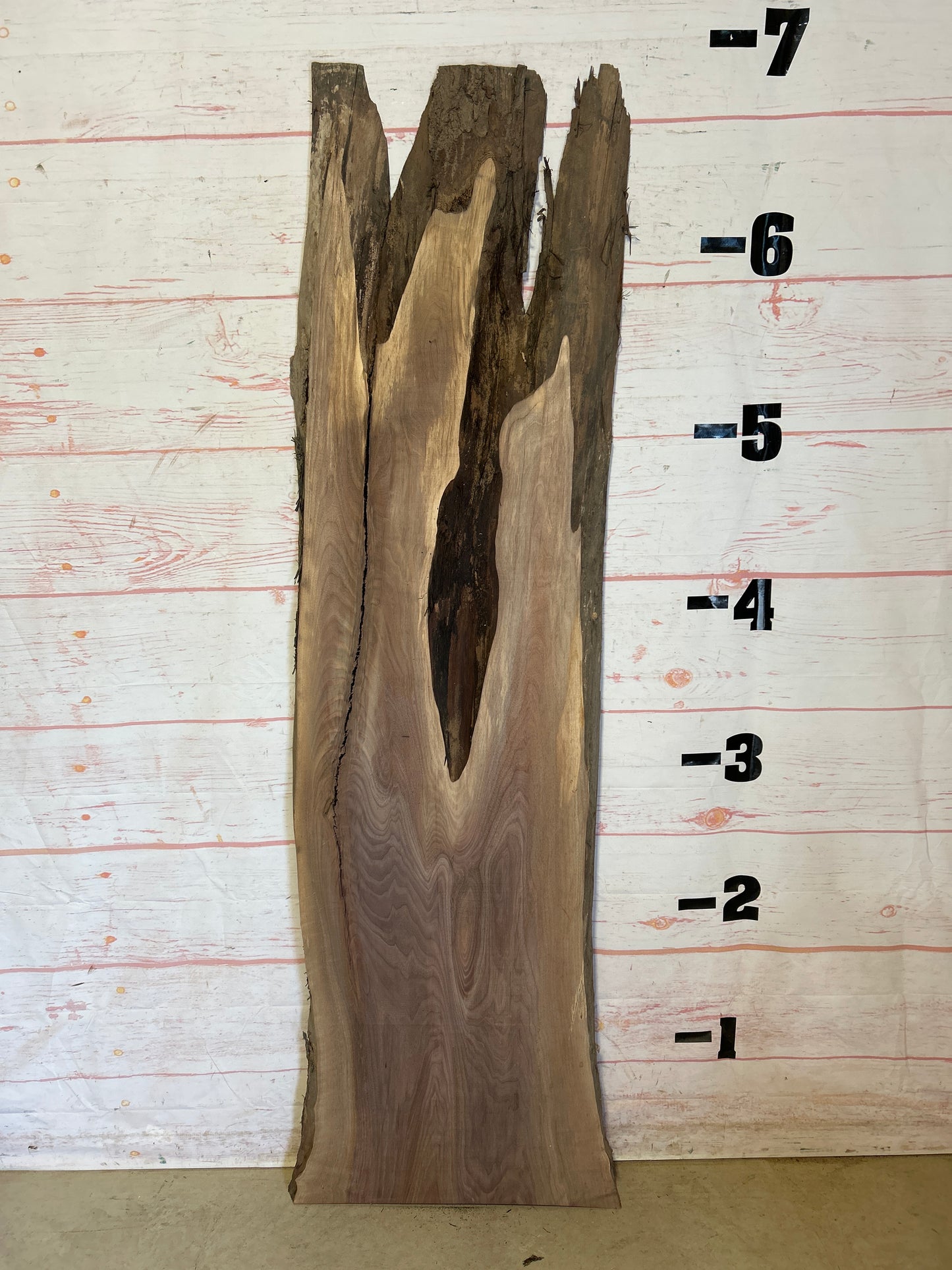 Live Edge Walnut Sku#23974G-19