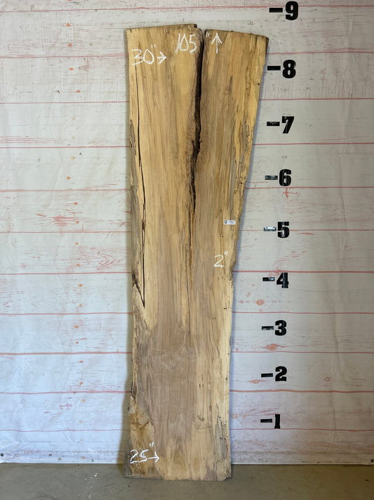 Live Edge Spalted Maple Sku#25182