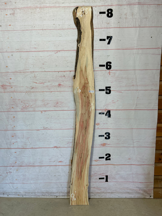 Live Edge Box Elder Sku#25715D-9